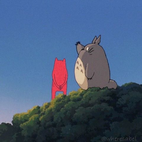 Adventures with Abel and his friend Totoro